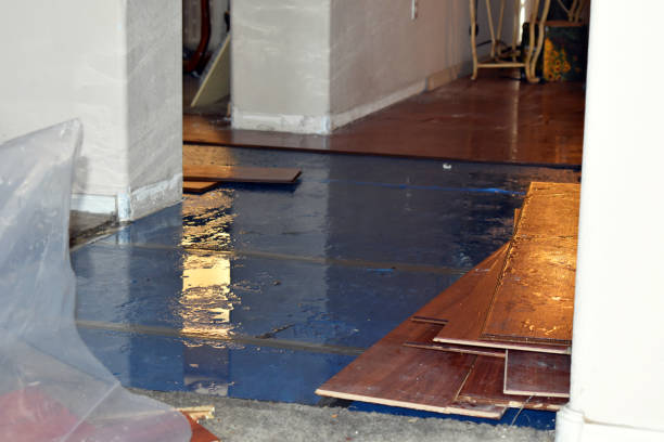 Professional Burst Pipe Cleanup technician working in Fairview, NJ